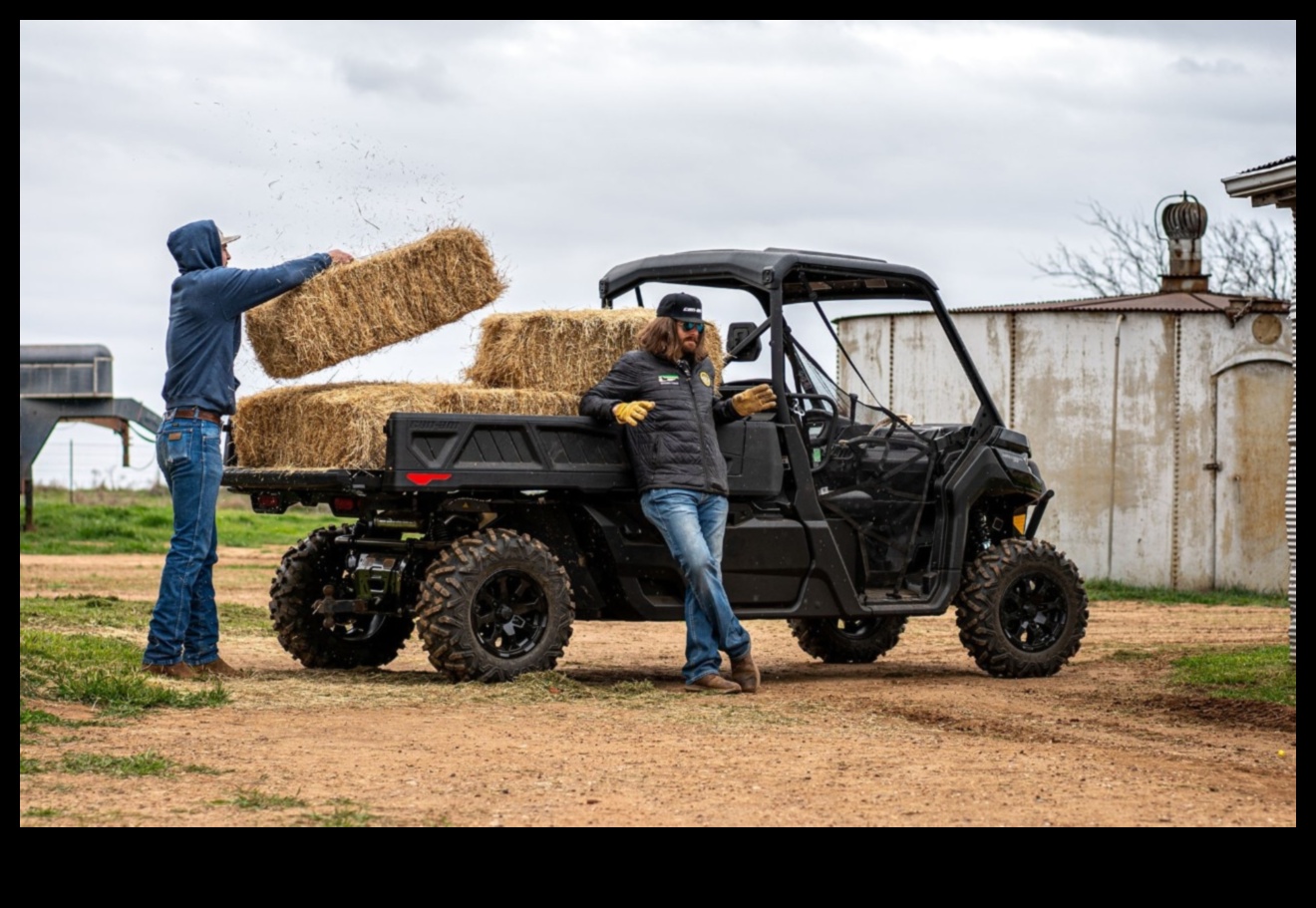 Plimbări rurale: camionete ca vehicule esențiale pentru activitățile agricole